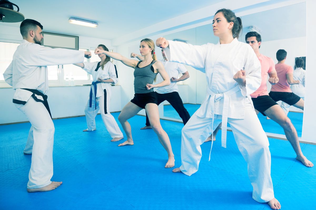 How much does a professional martial arts website cost